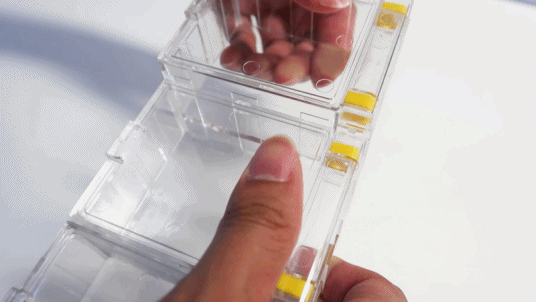 b3629aa3b1c2c8d5fedc0dbe5913ddb0_1641987986_2267.gif