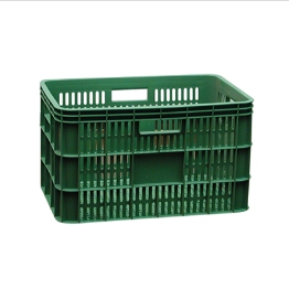 MODEL : 배추상자